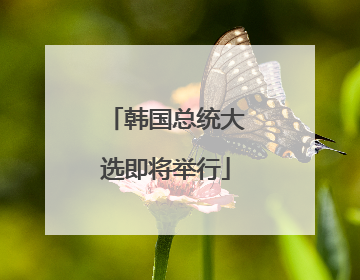 韩国总统大选即将举行